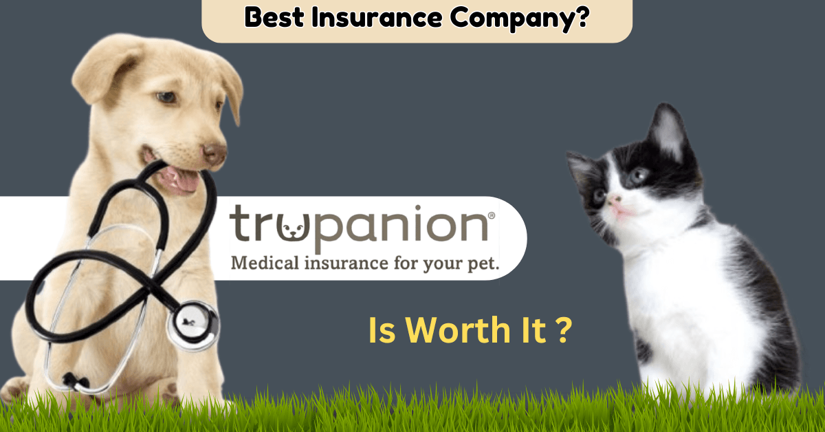 Is Trupanion Pet Insurance Worth It
