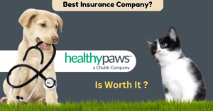 Is Healthy Paws Insurance Worth It